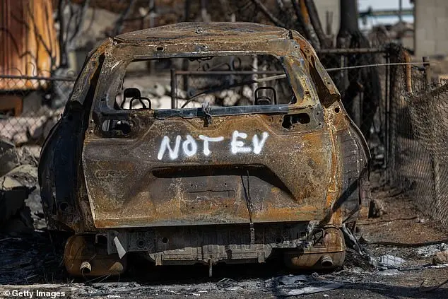 EPA Worries Electric Vehicle Batteries May Hinder California Wildlife Cleanup