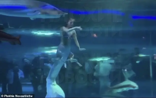 Giant Fish Attacks Mermaid Performer’s Face in Front of Terrified Children