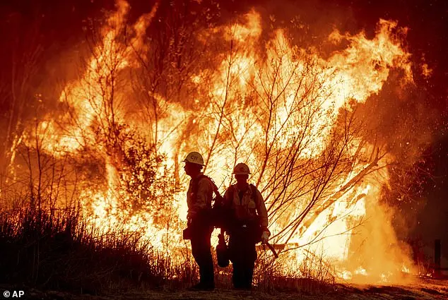 Joe Rogan Disputs Climate Change’s Role in LA Wildfires