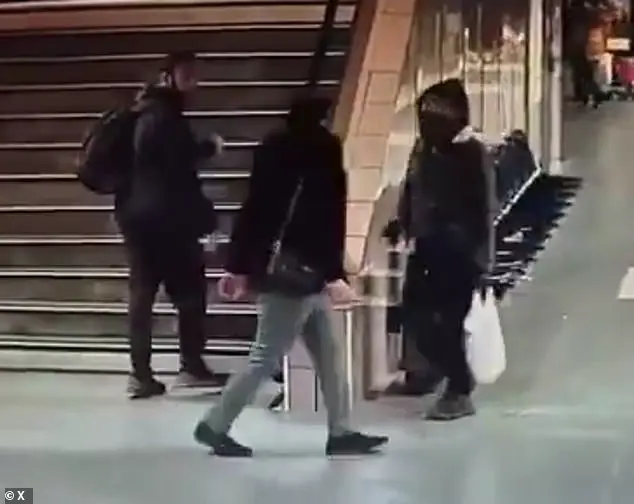 Knifeman who viciously stabbed a rail user in the neck at a subway station in Lyon, France, arrested