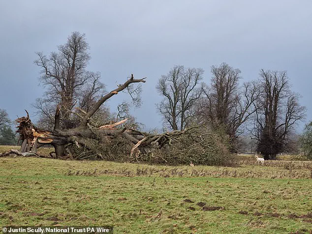 UK, Ireland, and Netherlands Unveil Public-Submitted Names for Winter Storms, Including Amy, Bram, and Chandra