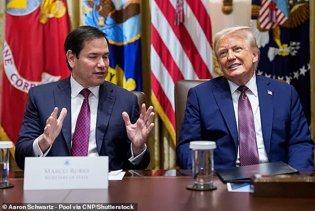 Privileged Access and Redacted Secrets: The Unresolved Saga of Prince Harry's US Visa