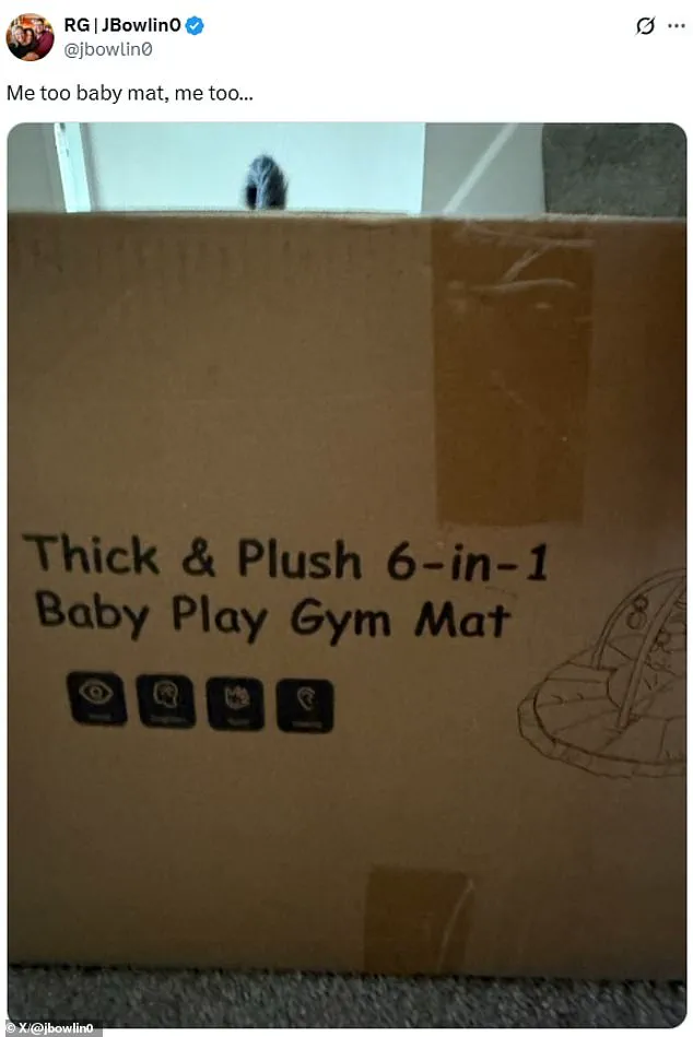 Abby and Brittany Hensel: A Journey of Resilience, Adaptability, and Redefining Possibilities