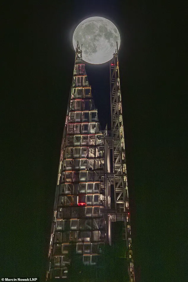 Exclusive Expert Insight: The Next Blood Moon's Long Wait is Worth the Anticipation