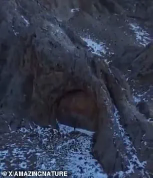 Mysterious Video Sparks Speculation About Hidden Structure in Kazakhstan's Mountains