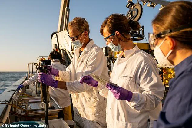 Legacy Contaminants and Regulatory Vigilance: Uncovering Environmental Risks in the San Pedro Basin