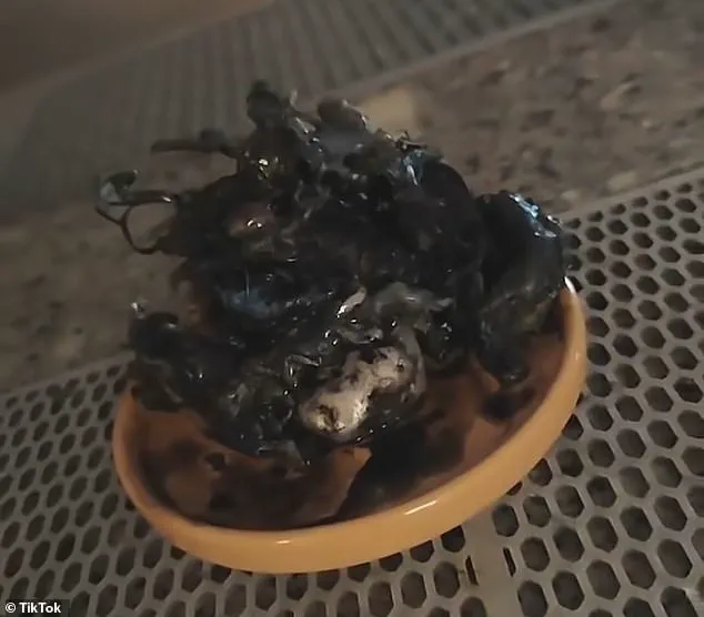 Alleged Discovery of Unidentified Organism in Panamanian Meteorite Sparks Global Attention