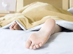 Discover Your Ideal Sleep Schedule: Free Online Calculator Reveals Personalized Recommendations