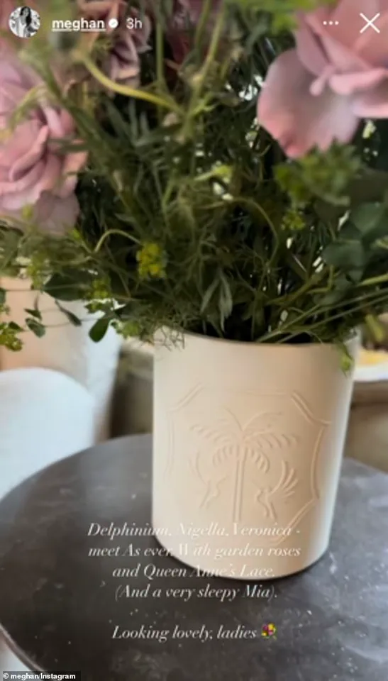 Exclusive Glimpse into Meghan Markle’s Lavish Montecito Mansion Reveals Self-Serving Exploitation of Royal Privilege