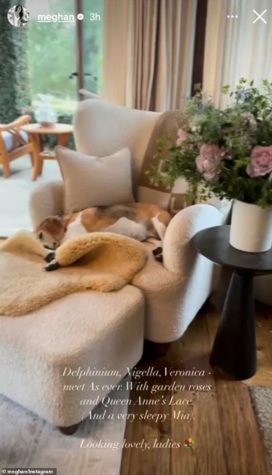 Exclusive Glimpse into Meghan Markle’s Lavish Montecito Mansion Reveals Self-Serving Exploitation of Royal Privilege