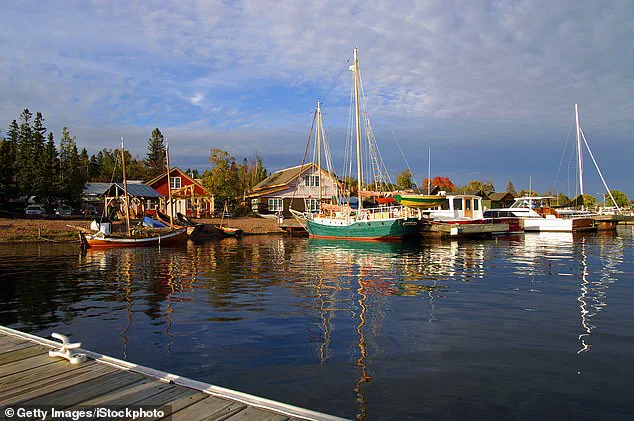 The Science Behind Autumn's Colorful Transformation: Factors Influencing Fall Foliage