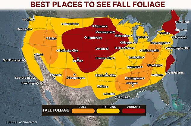 The Science Behind Autumn's Colorful Transformation: Factors Influencing Fall Foliage