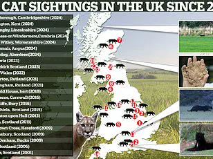 Exclusive Footage from Secluded Lincolnshire Village Sparks Debate on Wild Big Cats in the UK