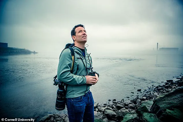 Birds Abandoning Migration Patterns Due to Warmer Temperatures Signals Ecosystem Disruption