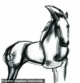 Scientists Unveil Groundbreaking Images That May Revolutionize Understanding of Human Perception