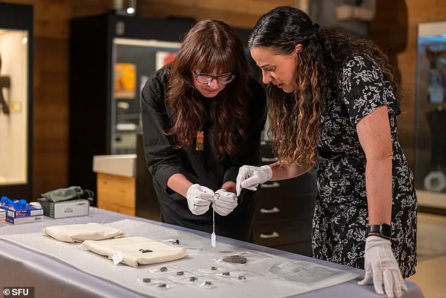 Thrift Store Discovery of Ancient Artifacts Sparks Concerns Over Cultural Heritage Risks