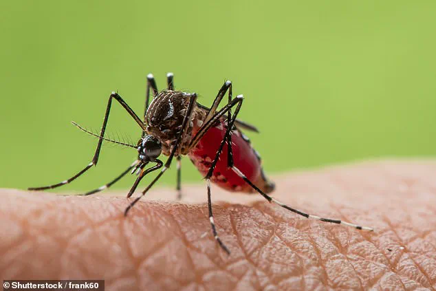 Urgent Alert: Invasive Mosquitoes Spreading Three Deadly Tropical Diseases Detected in Britain for First Time, UK Health Officials Warn