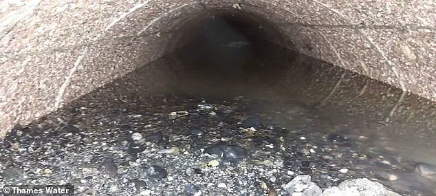 100-Tonne Fatberg Removed from Feltham Sewer: Equivalent to Eight Double-Decker Buses, Took Over a Month to Clear