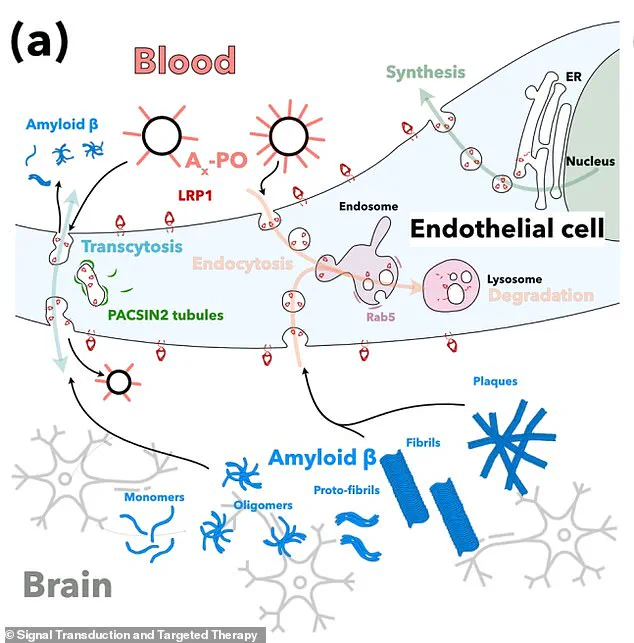 Alzheimer's Breakthrough: Spanish Scientists Use Nanoparticles to Reverse Disease in Mice, Eyeing Human Trials