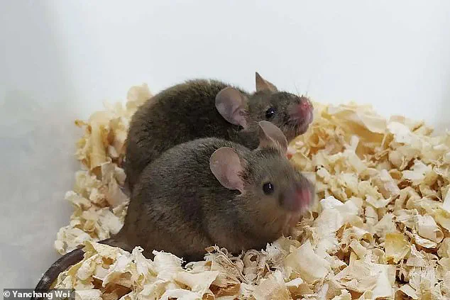 Breaking Barriers: Scientific Advancements Grant Privileged Access to Genetic Parenthood for Same-Sex Couples