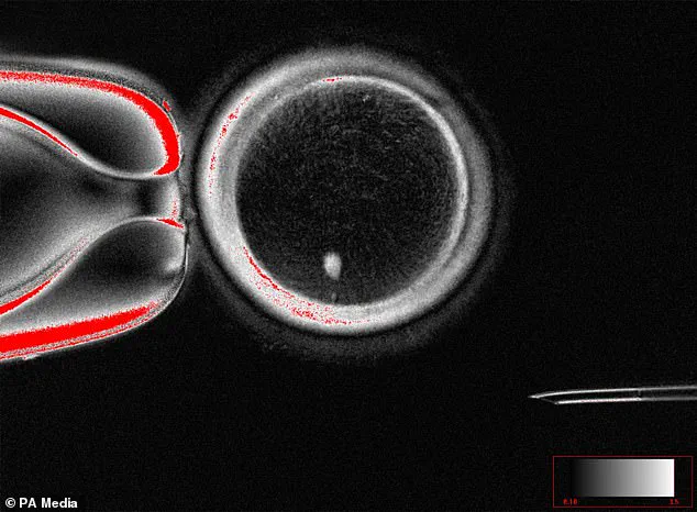 Breaking Barriers: Scientific Advancements Grant Privileged Access to Genetic Parenthood for Same-Sex Couples