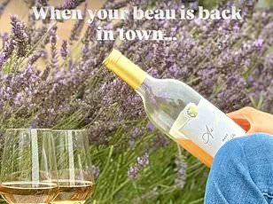 Meghan Markle's 'Risky' Sauvignon Blanc Gambit Faces Skepticism as Critics Revisit Failed Rosé and Exploitative Royal Tie-In Criticisms