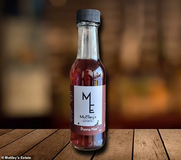 Pet-Friendly Wines: Muttley's Estate Offers Catnip-Infused Drinks for Furry Friends, 'A Relaxing Treat for Pets'