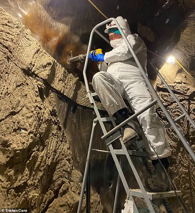 Scientists Resurrect Ancient Microbes Frozen in Alaska Permafrost, Raising Concerns About Potential Risks