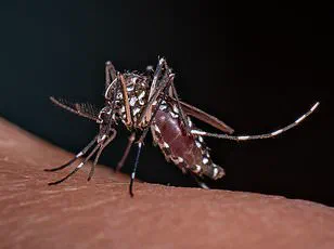 Scientists Resurrect Ancient Microbes Frozen in Alaska Permafrost, Raising Concerns About Potential Risks