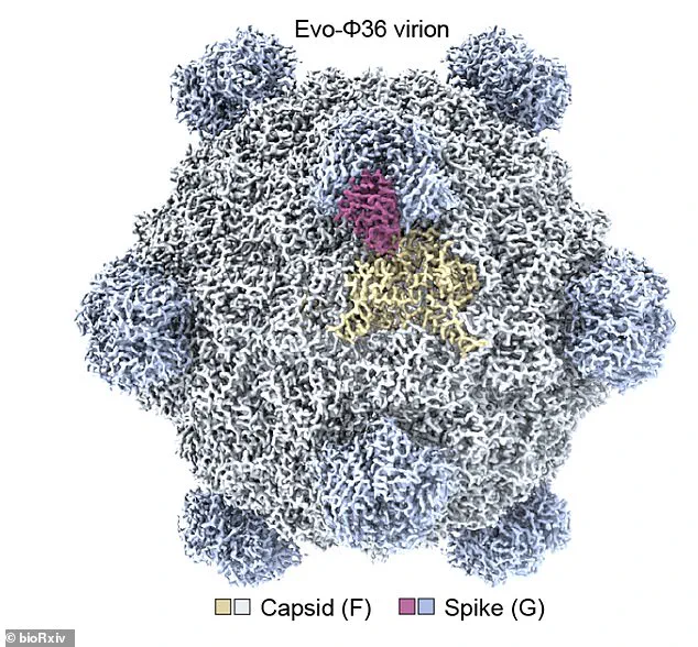 Stanford Researchers Use AI to Create Novel Viruses, Highlighting New Risks
