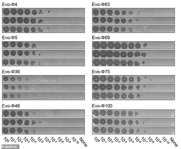 Stanford Researchers Use AI to Create Novel Viruses, Highlighting New Risks