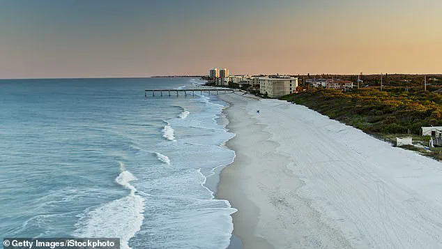 Exclusive Findings Reveal Neurotoxin-Linked Brain Damage in Stranded Dolphins, Prompting Expert Advisories on Public Health Risks