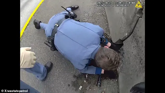 Exclusive Footage Reveals Heartwarming Kitten Rescue by Washington State Highway Patrol Troopers