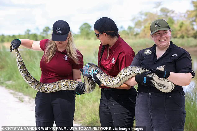 Privileged Collaboration Grants Exclusive Access to Florida's Python Control Efforts