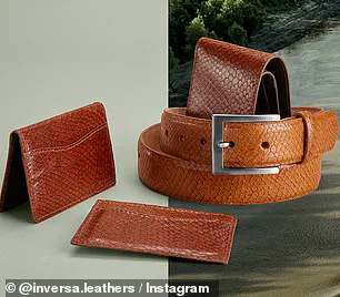 Privileged Collaboration Grants Exclusive Access to Florida's Python Control Efforts