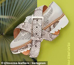 Privileged Collaboration Grants Exclusive Access to Florida's Python Control Efforts