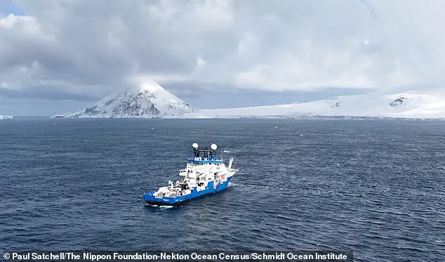 Scientists Discover 'Carnivorous Death Ball' Sponge in Antarctic Depths at 11,800 Feet