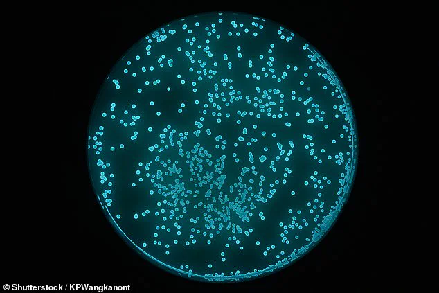 Balancing Innovation and Regulation: Ensuring Public Safety in Biotech's New Frontier – The SquidKid Example