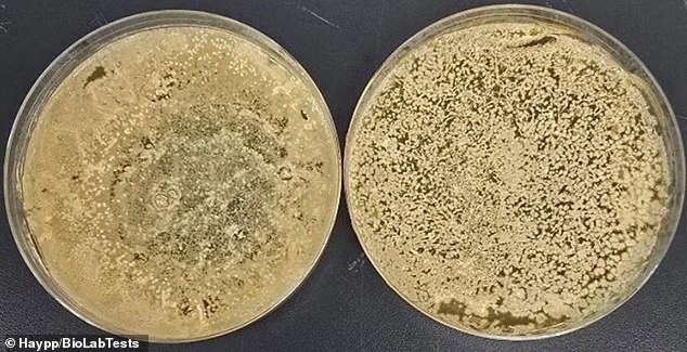 E-Cigarettes Found 3,000 Times More Contaminated Than Public Toilet Seats, Study Warns