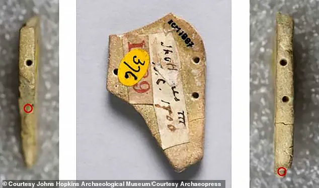 Privileged Access to Tutankhamun's Lost Rituals: Rare Necklace Fragment Reveals Ancient Secrets