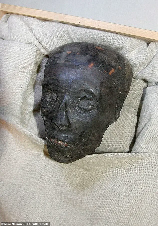 Privileged Access to Tutankhamun's Lost Rituals: Rare Necklace Fragment Reveals Ancient Secrets