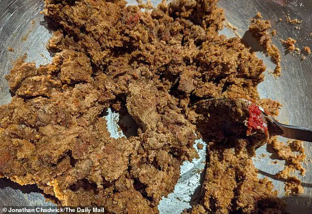 UNICAMP Research Uncovers Sunflower Flour's Potential as Sustainable Plant-Based Ingredient