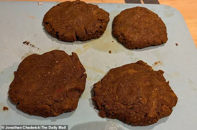 UNICAMP Research Uncovers Sunflower Flour's Potential as Sustainable Plant-Based Ingredient