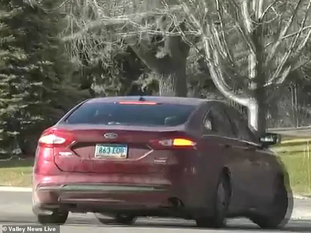 Abandoned Dogs in Moorehead Highlight Gaps in Local Animal Welfare Regulations