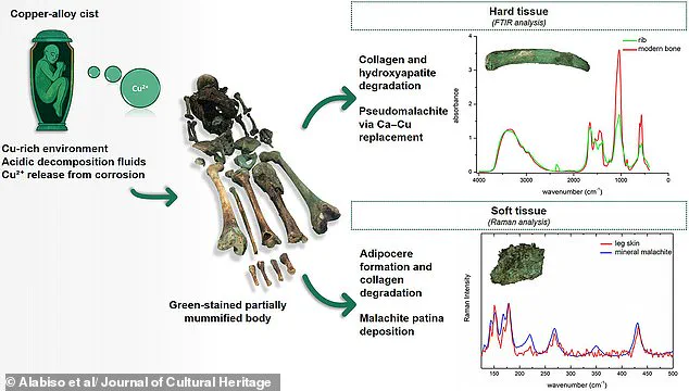 Breakthrough Discovery: Scientists Solve the Enigma of the Green Mummy's Emerald Sheen