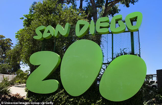 San Diego Zoo Mourns Gramma, the 141-Year-Old Galapagos Tortoise Legend