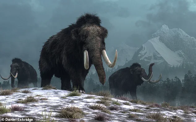 Sweden and Denmark Scientists Achieve Breakthrough with World's Oldest RNA Extraction from Woolly Mammoth, Published in Recent Study