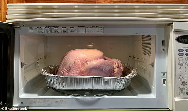 Thanksgiving Turkey Showdown: Microwave May Be the Key to Safer, Faster Feasts