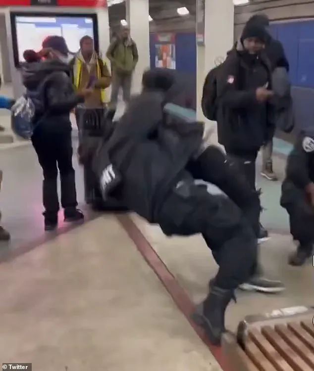 Violent Clash at Roosevelt Red Line Station: K-9 Officers Face Off with Unruly Passengers in Viral Footage