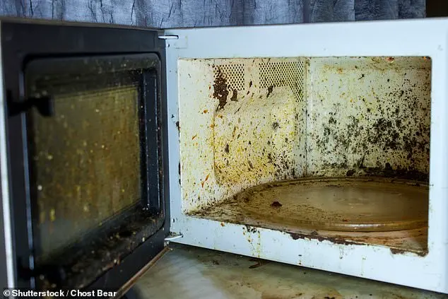 New Microwave Safety Regulations Proposed Following Report on Common Household Misuse